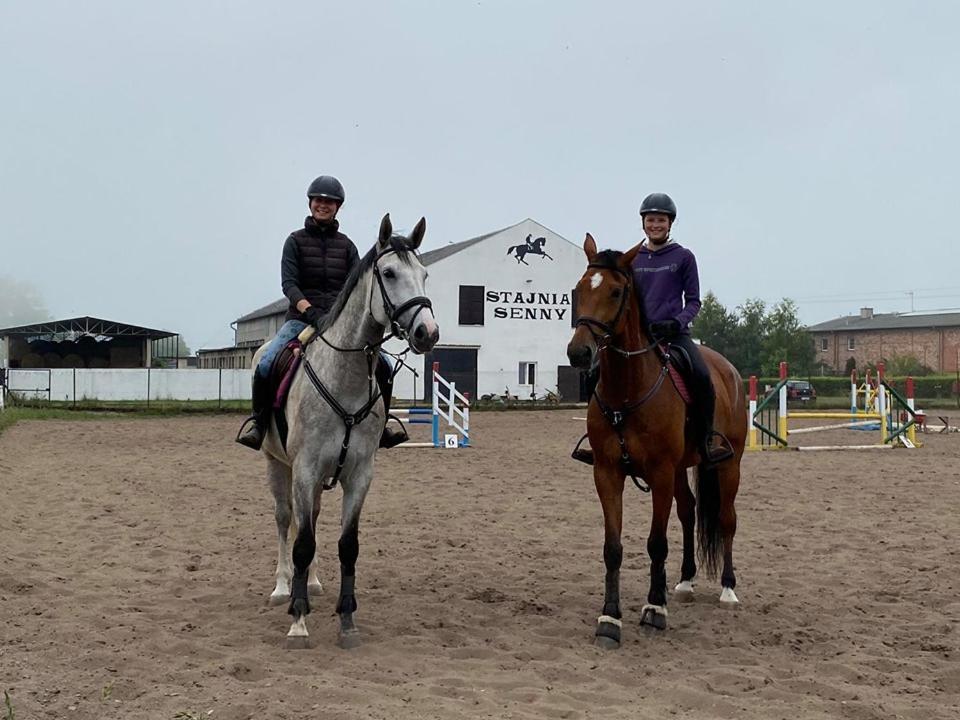 Noclegi Przy Stajni Senny - Horse Riding Łeba Exterior foto